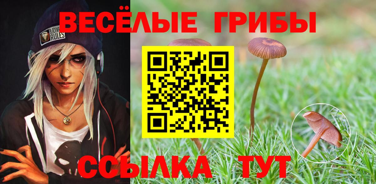 Псилоцибиновые грибы Cubensis  Вход с VPN  Псилоцибиновые грибы Psilocybe  Мариинск 